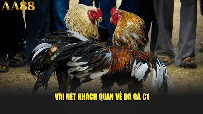 Các yếu tố gây ảnh hưởng đến kết quả trận đấu