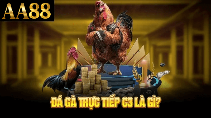 Đá gà c3 tại 88aa