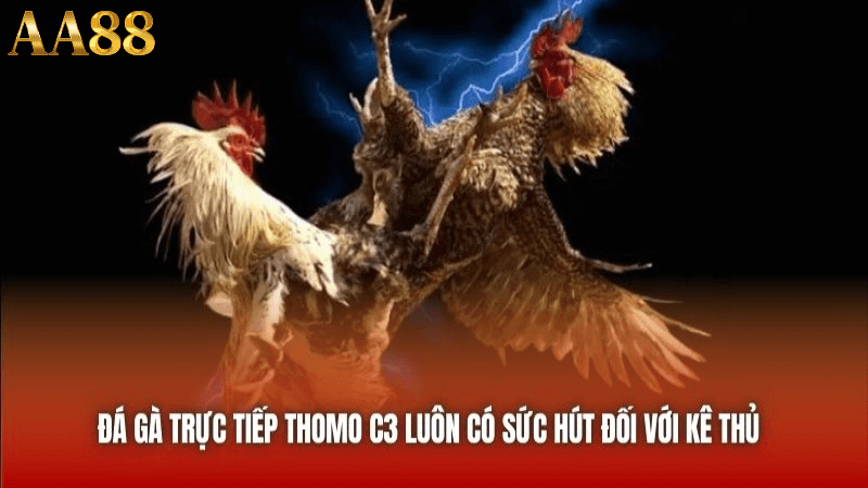 Cách tham gia đá gà tại 88aa