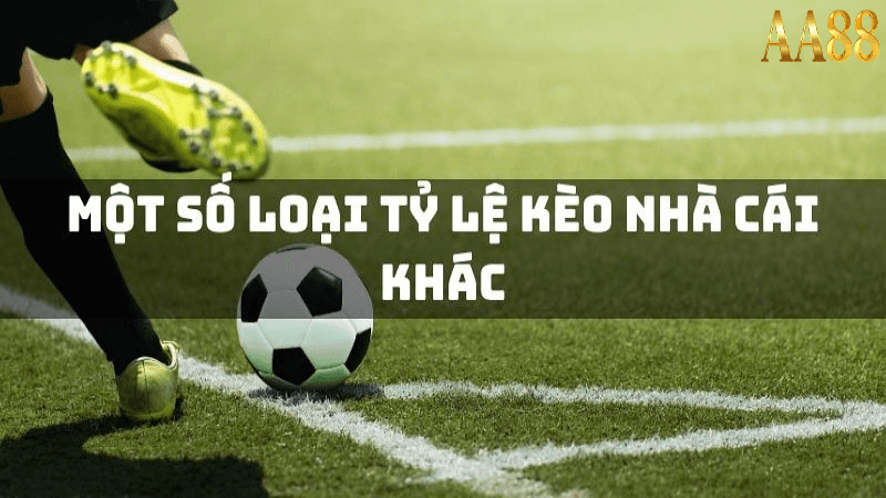 Phân tích tỷ lệ kèo hôm nay tại aa88